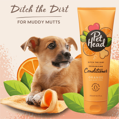 Ditch The Dirt Orange Conditioner For Dogs