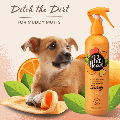 Ditch The Dirt Orange Deodorising Spray For Dogs