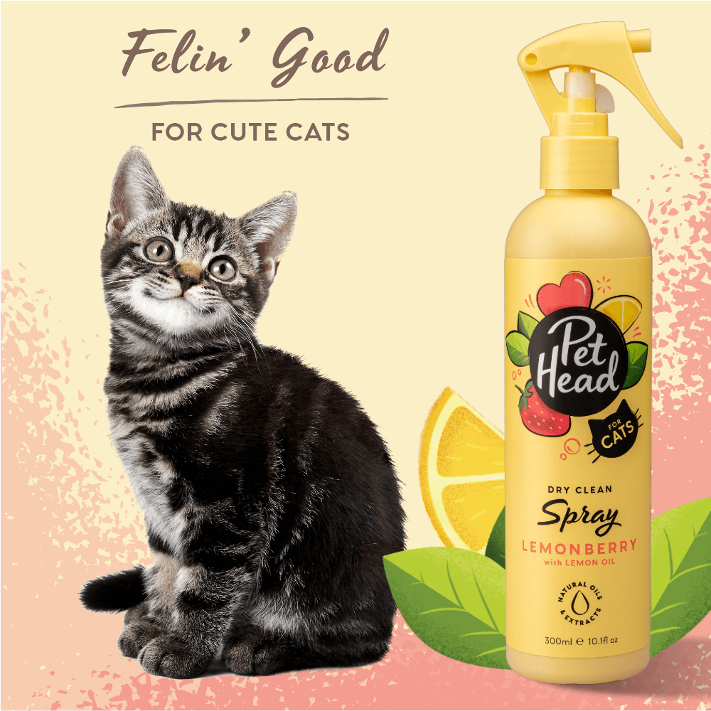Felin Good Lemonberry Dry Clean Spray For Cats