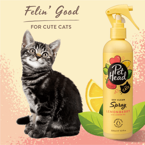 Felin Good Lemonberry Dry Clean Spray For Cats