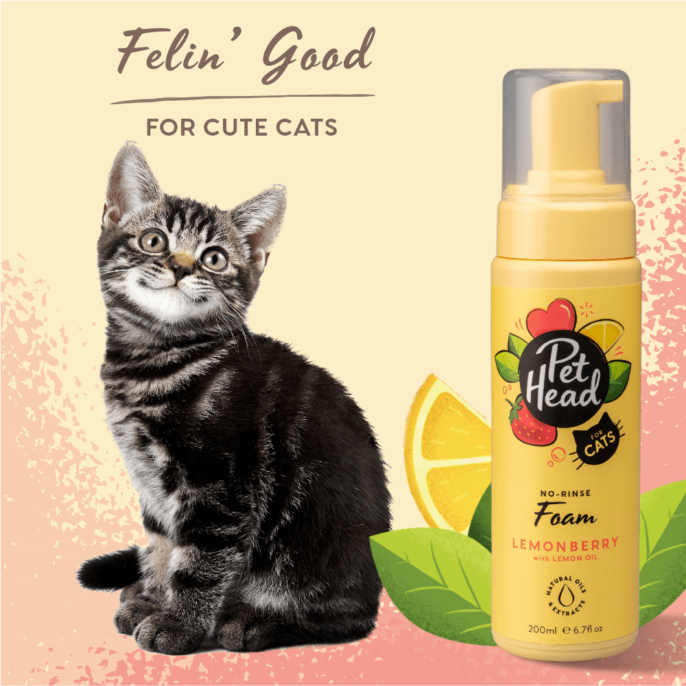 Felin Good Lemonberry No Rinse Shampoo Foam For Cats