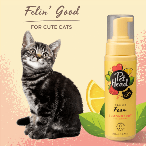 Felin Good Lemonberry No Rinse Shampoo Foam For Cats