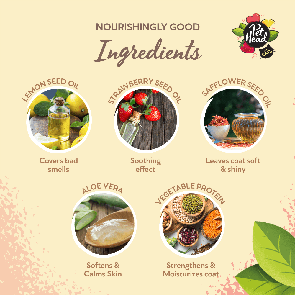 Felin Good Lemonberry No Rinse Shampoo Foam For Cats