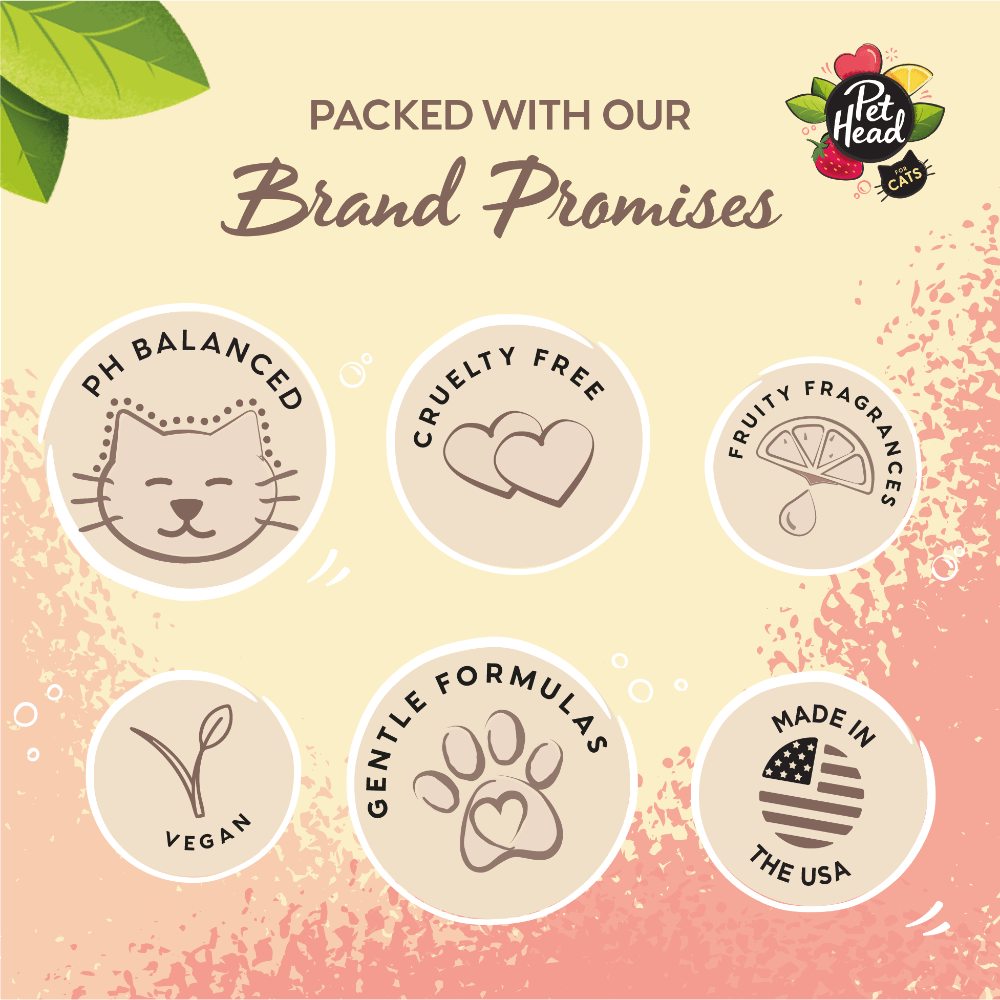 Felin Good Lemonberry No Rinse Shampoo Foam For Cats