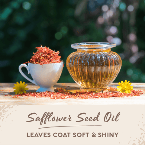 Felin Good Lemonberry No Rinse Shampoo Foam For Cats