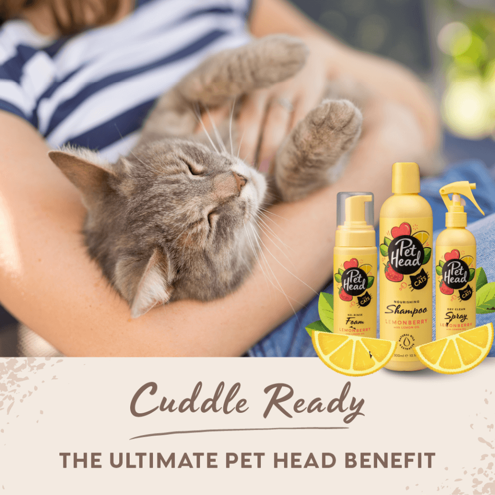 Felin Good Lemonberry No Rinse Shampoo Foam For Cats