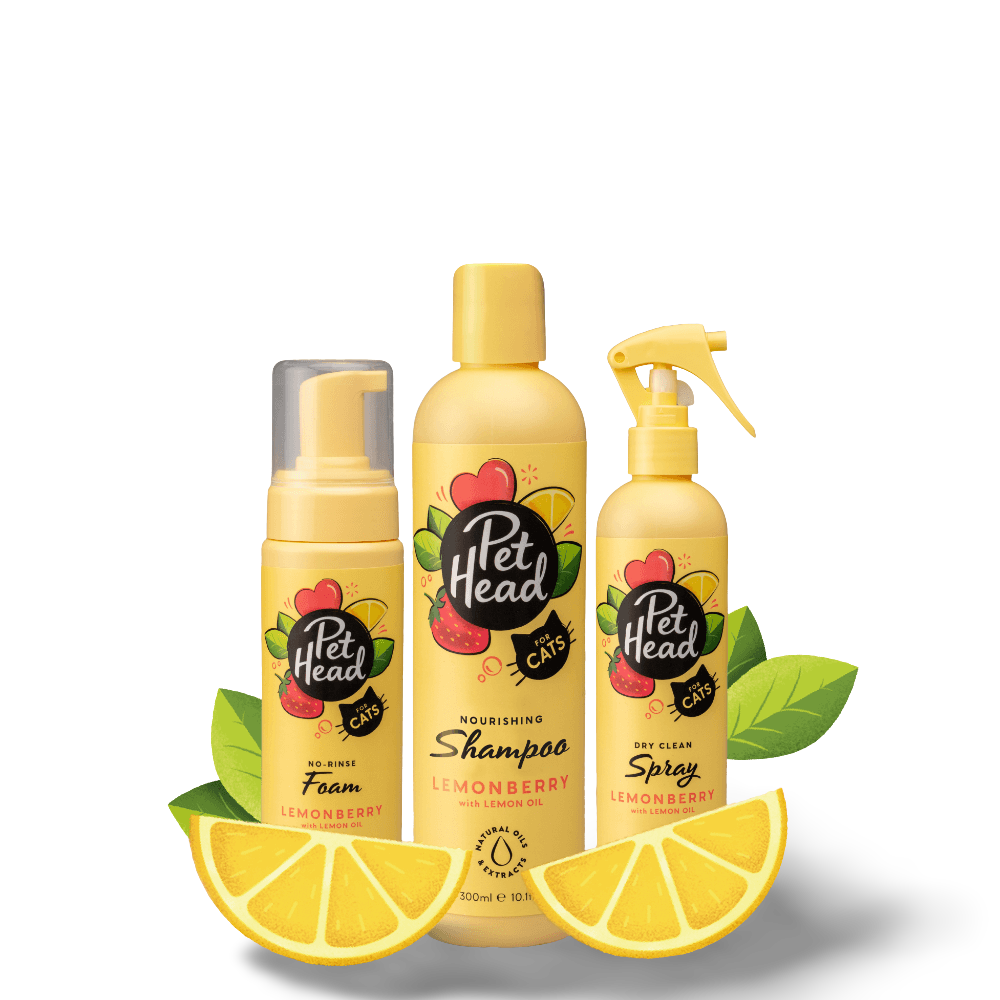 Felin Good Lemonberry No Rinse Shampoo Foam For Cats