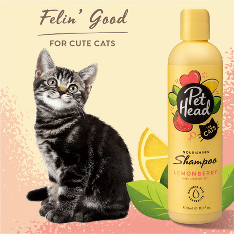 Felin Good Lemonberry Shampoo For Cats