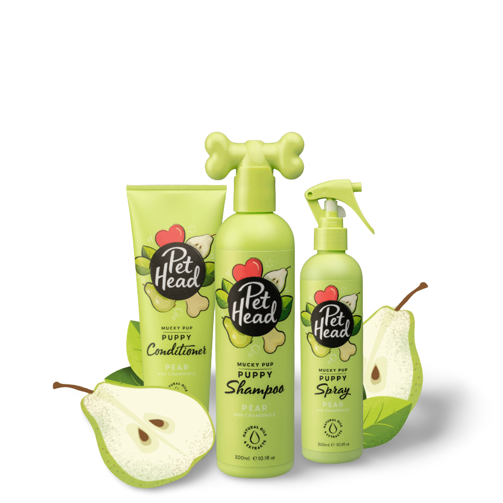 Mucky Pup Pear Puppy Conditioner