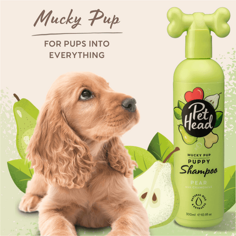 Mucky Pup Pear Puppy Shampoo
