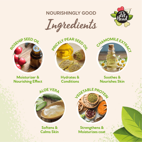 Mucky Pup Pear Puppy Shampoo