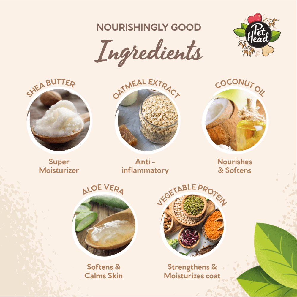 On All Paws Coconut Paw Butter For Dogs