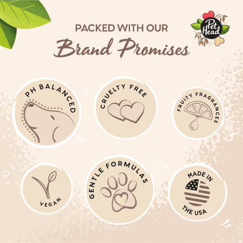 On All Paws Coconut Paw Butter For Dogs