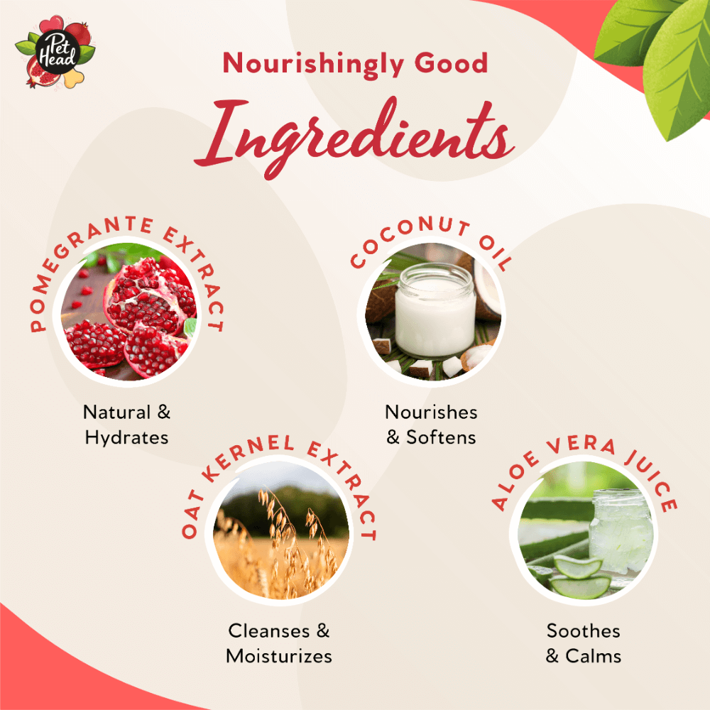 Pomegranate 3 In 1 Shampoo Bar