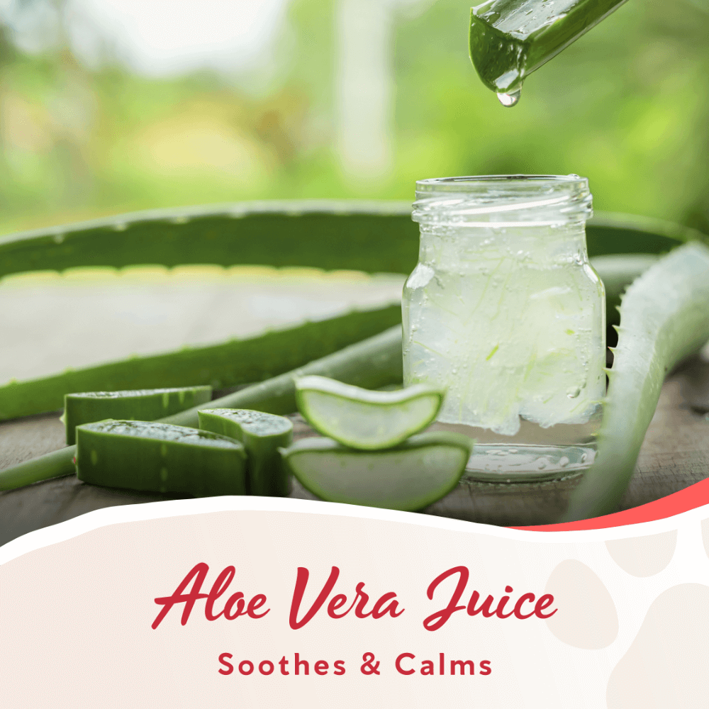 Pomegranate 3 In 1 Shampoo Bar