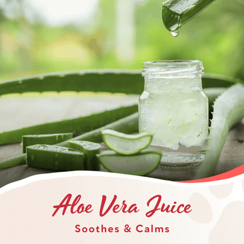 Pomegranate 3 In 1 Shampoo Bar