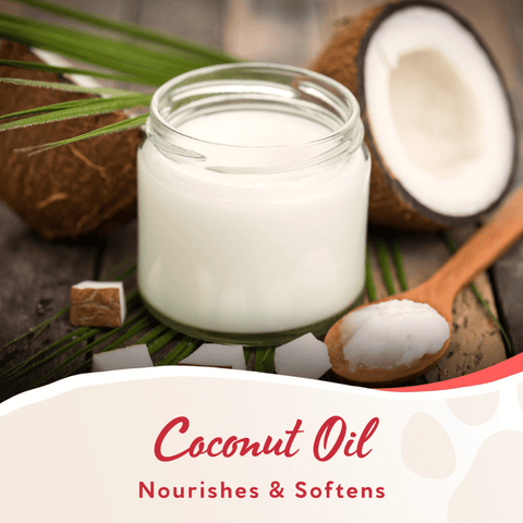 Pomegranate 3 In 1 Shampoo Bar