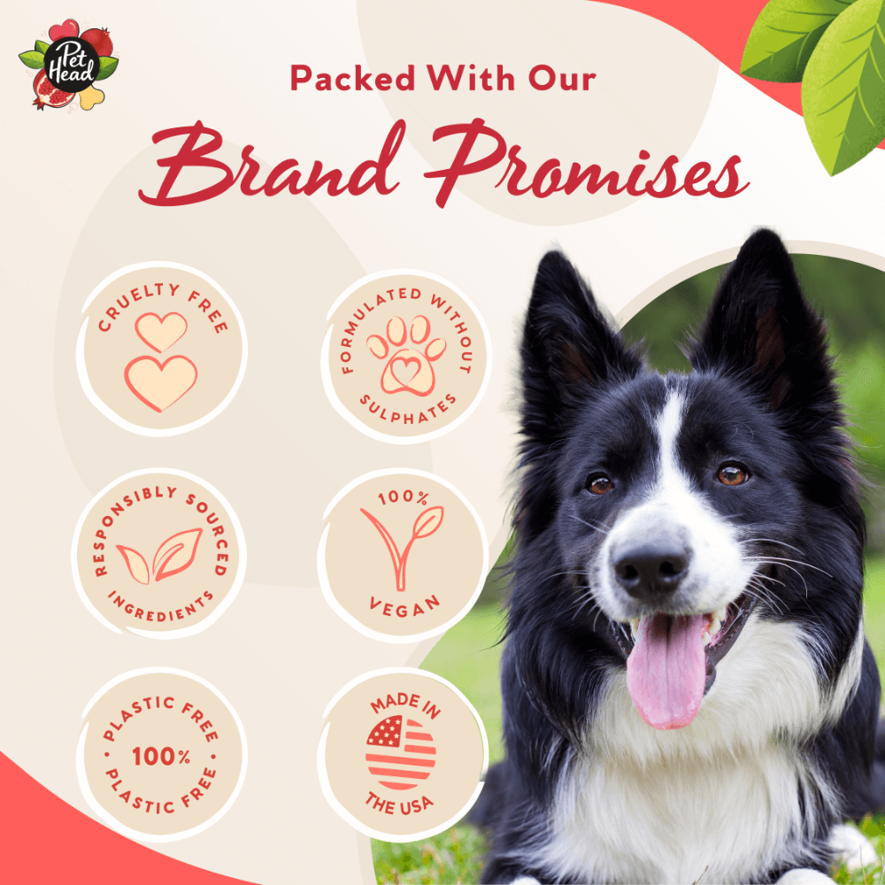 Pomegranate 3 In 1 Shampoo Bar