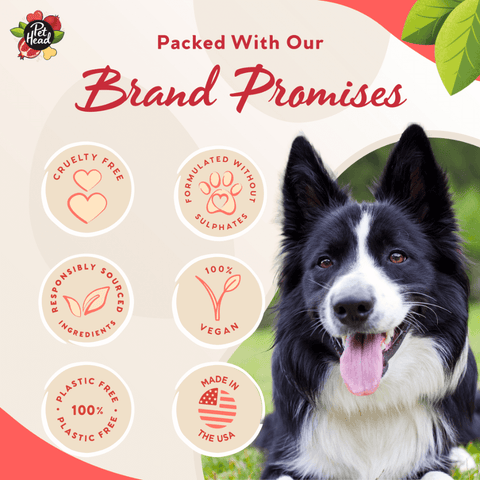 Pomegranate 3 In 1 Shampoo Bar