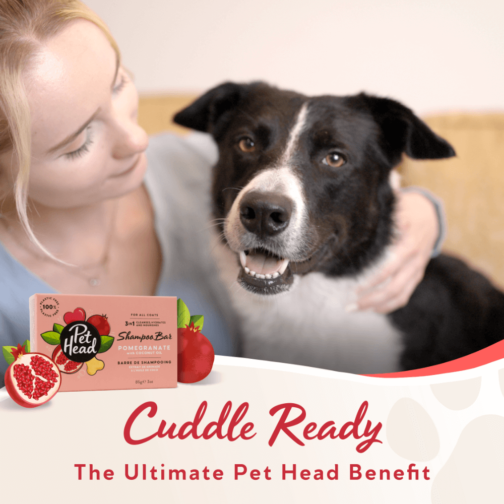 Pomegranate 3 In 1 Shampoo Bar