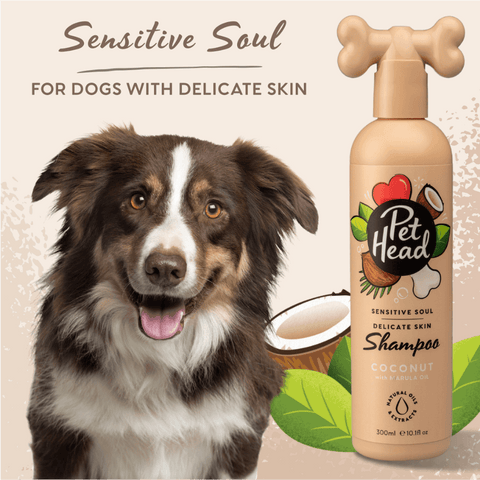 Sensitive Soul Coconut Shampoo For Dogs