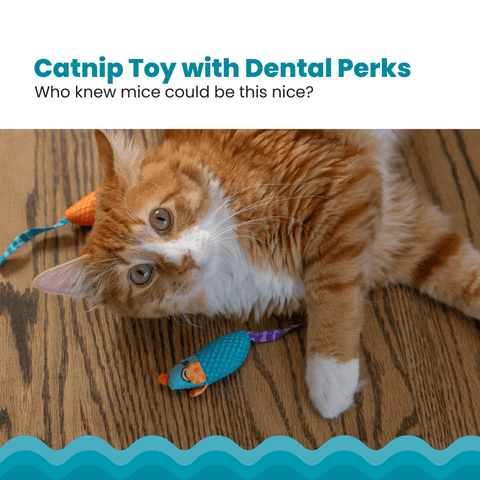 Catnip Chew Mice Cat Toy