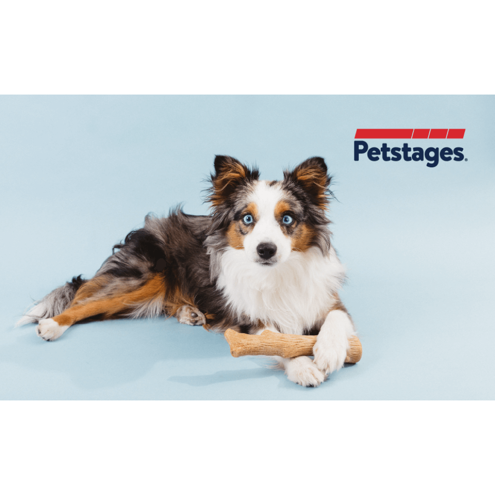 Dogwood Stick Dog Chew Toy