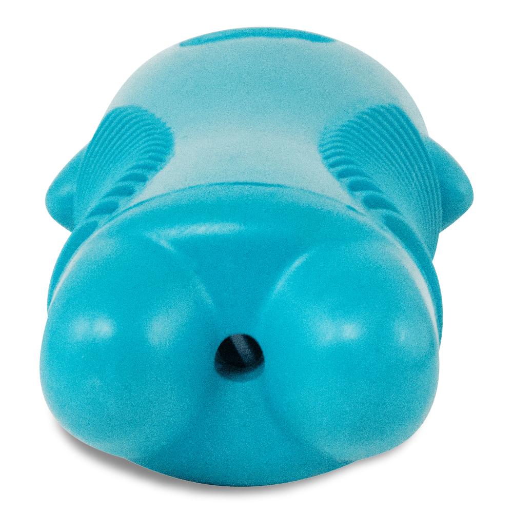 Giggle Fetch Kitty Dog Toy