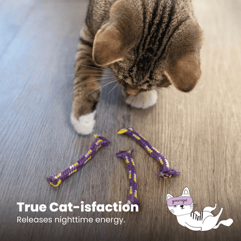 Night Time Catnip Rolls