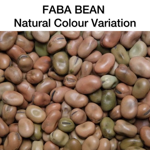 CF50 Grain Free Multivitamin & Mineral Pellet For Horses