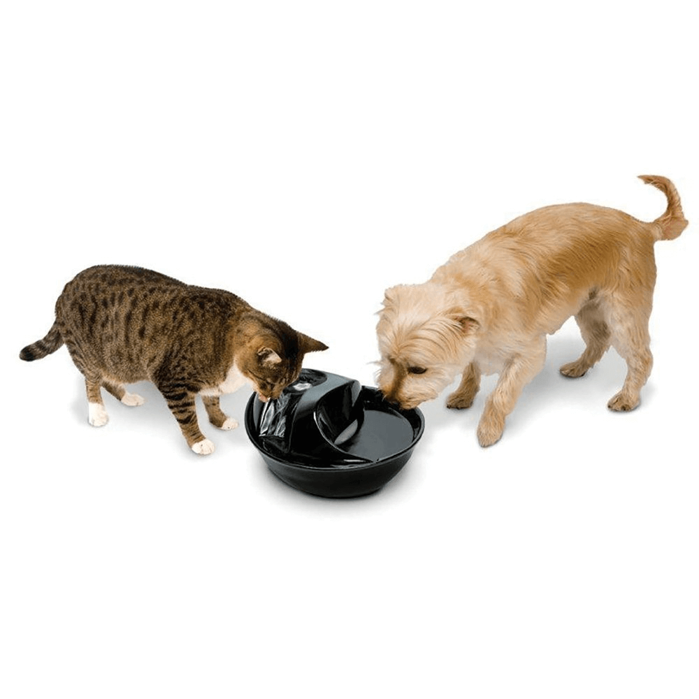 Ceramic Pet Fountain Raindrop