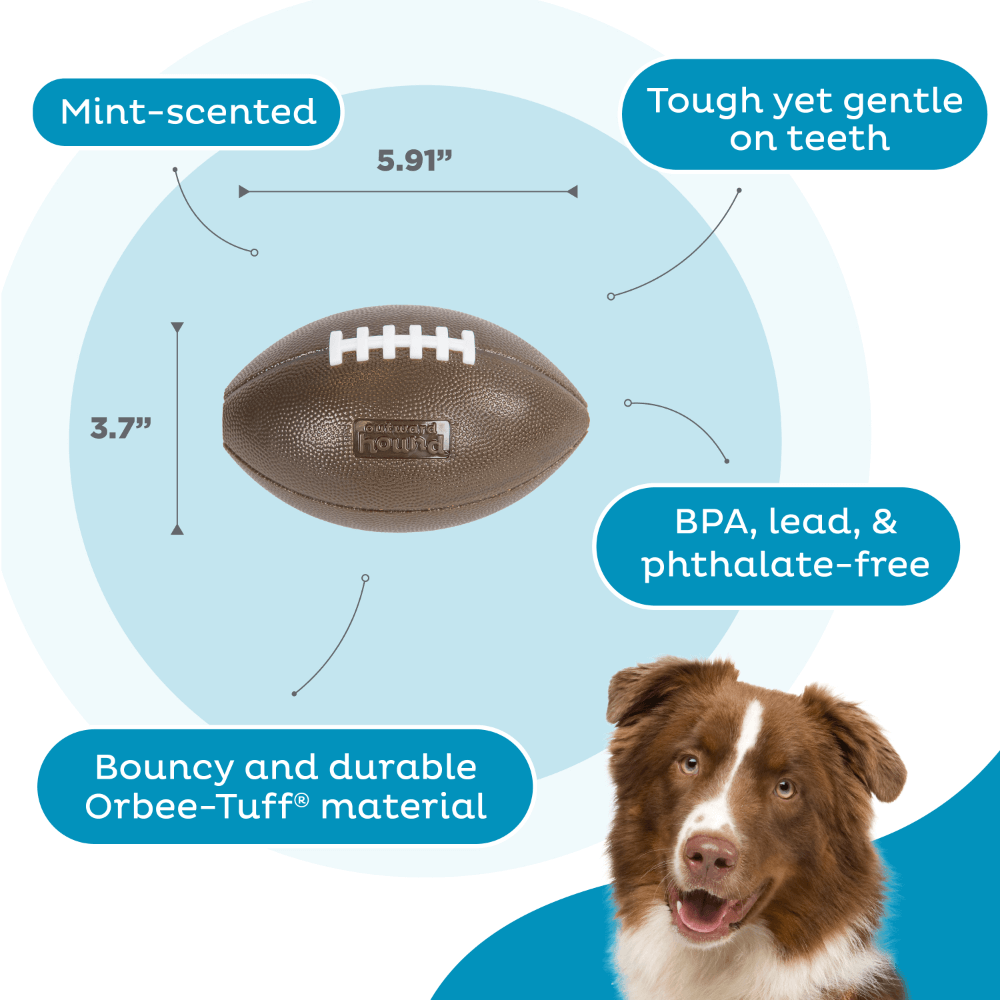 Football Dog Treat Dispensing Toy