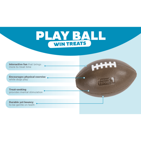 Football Dog Treat Dispensing Toy