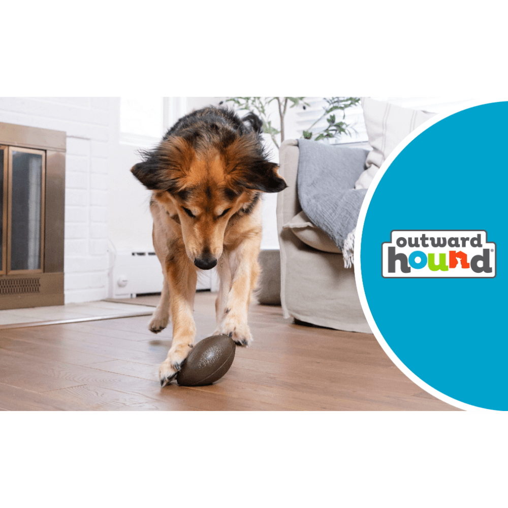 Football Dog Treat Dispensing Toy