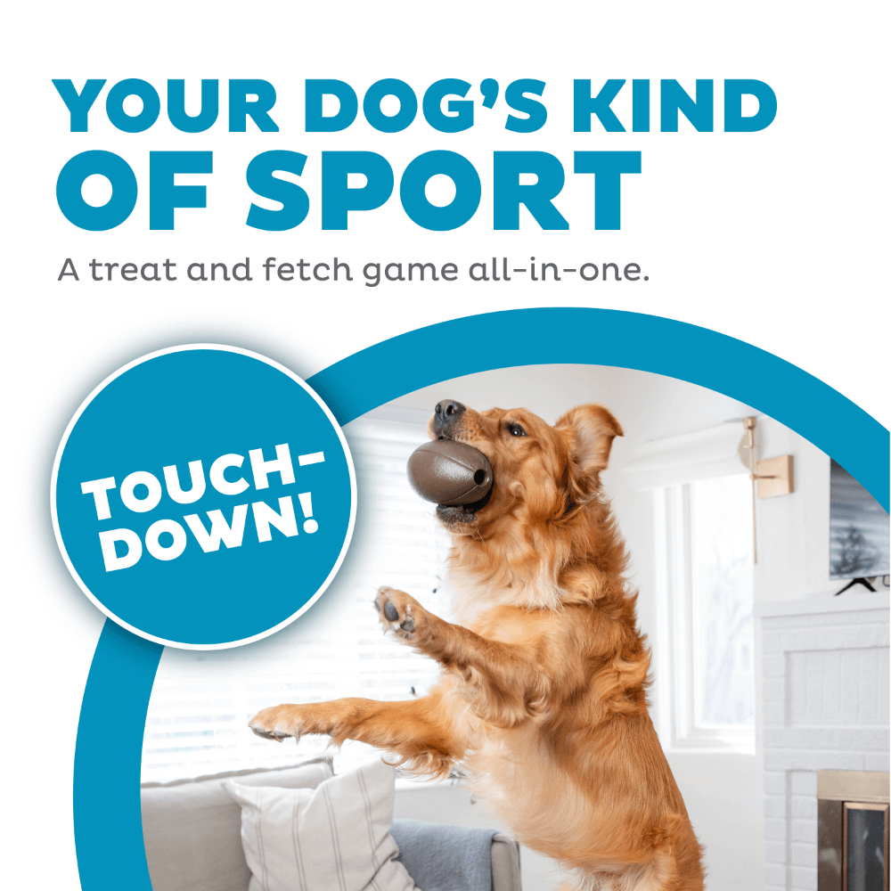 Football Dog Treat Dispensing Toy