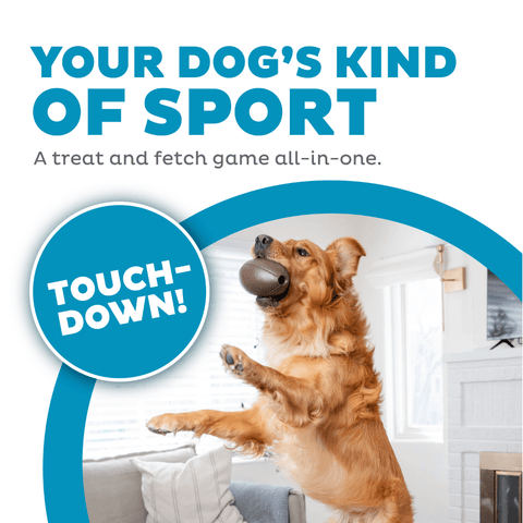 Football Dog Treat Dispensing Toy