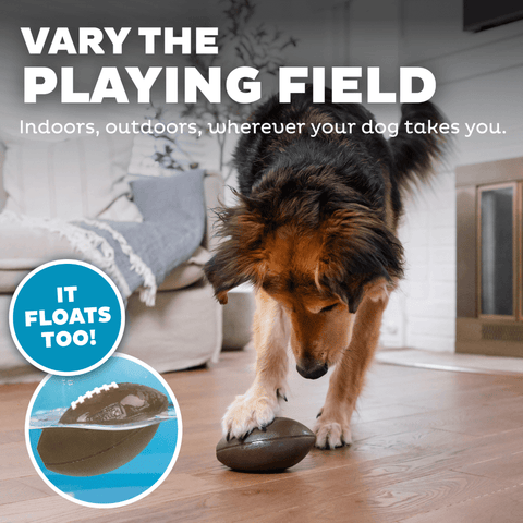 Football Dog Treat Dispensing Toy