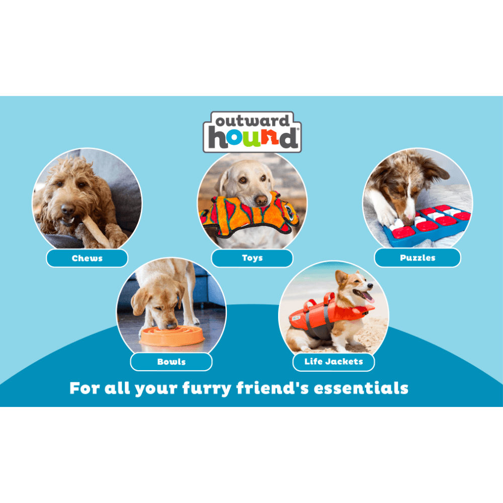Football Dog Treat Dispensing Toy