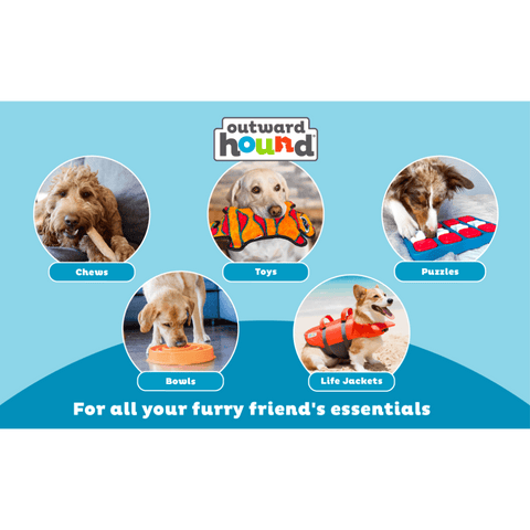 Football Dog Treat Dispensing Toy