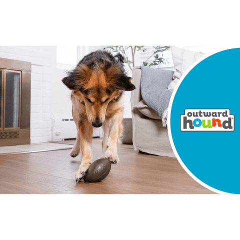 Football Dog Treat Dispensing Toy