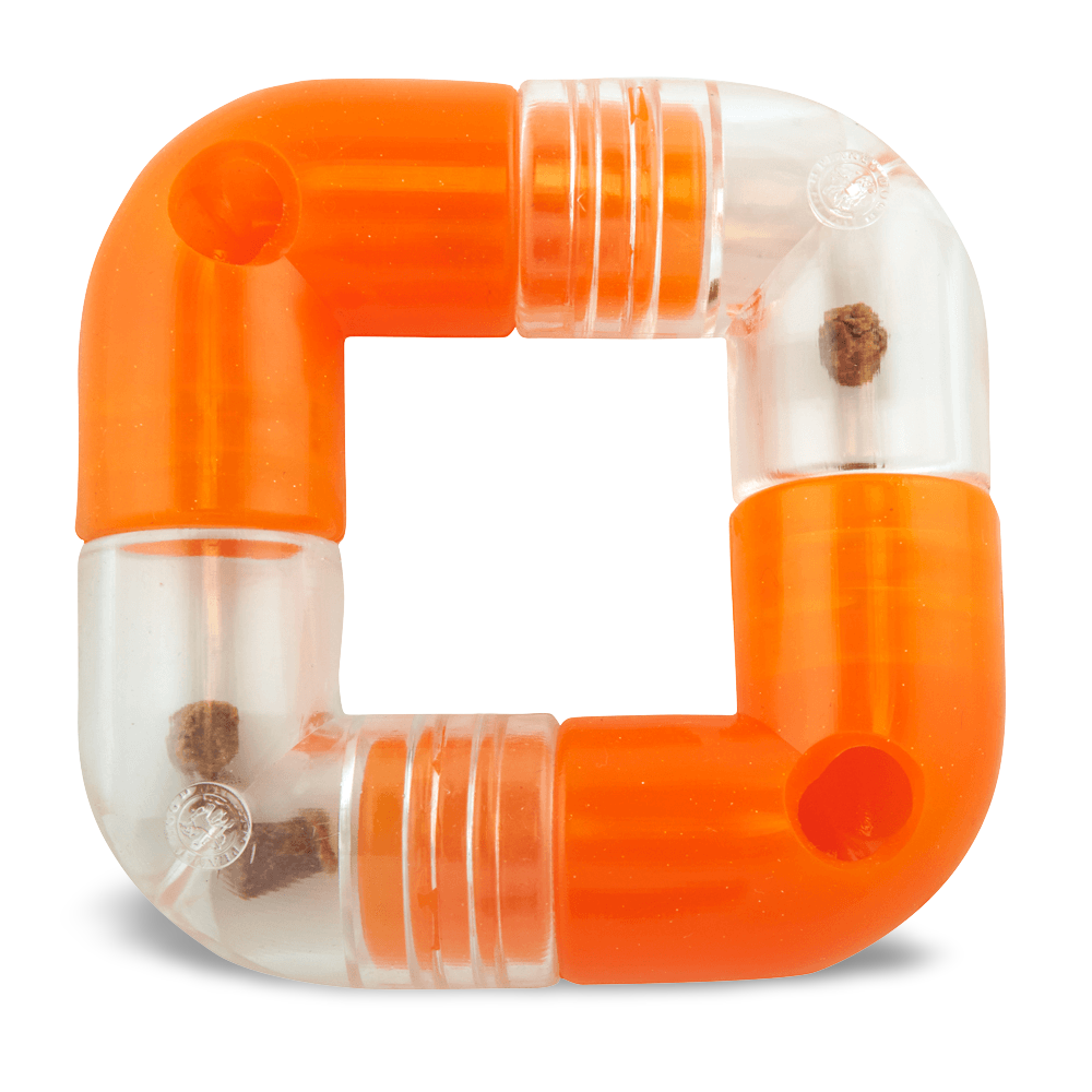 Link Orange