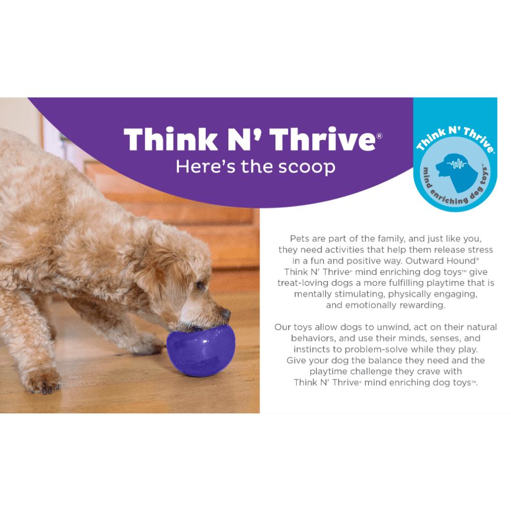 Orbee Lil Snoop Interactive Feeding Dog Toy Purple
