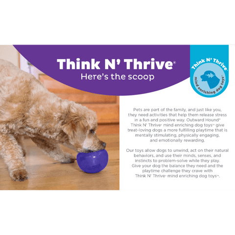 Orbee Lil Snoop Interactive Feeding Dog Toy Purple