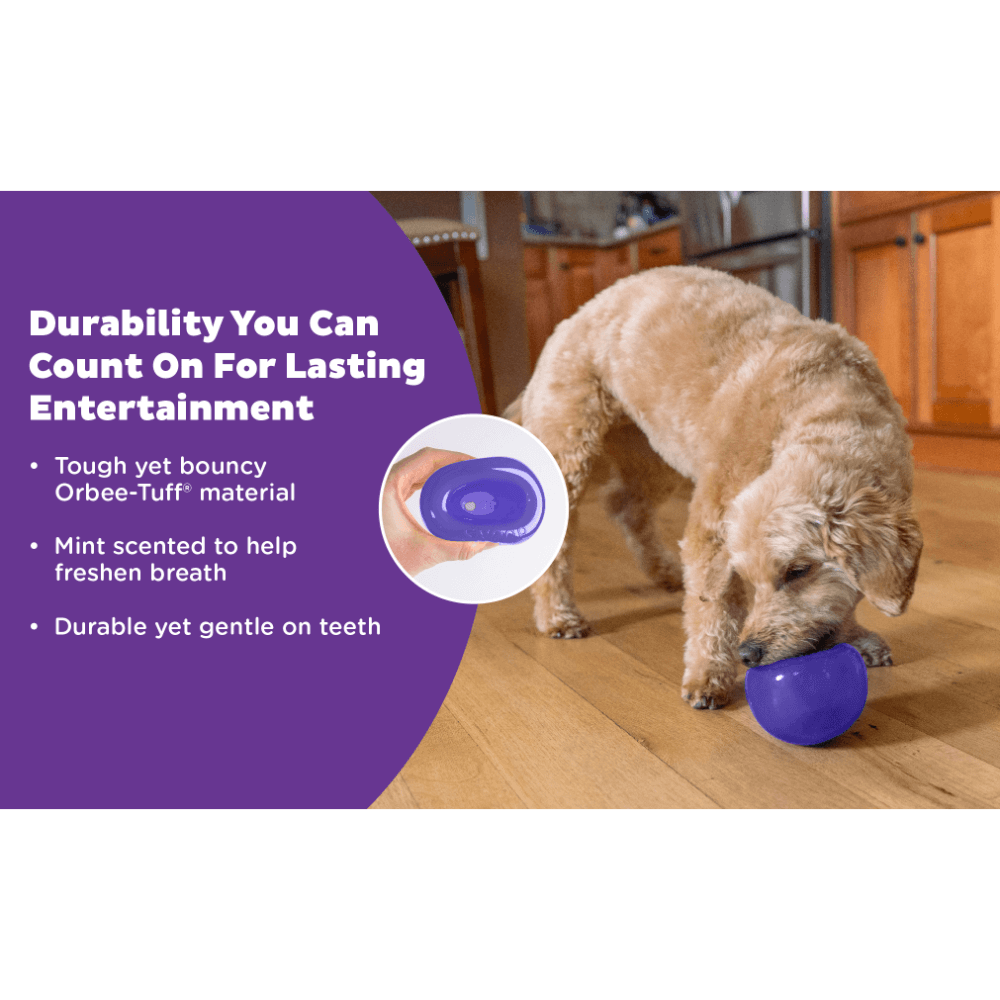 Orbee Lil Snoop Interactive Feeding Dog Toy Purple