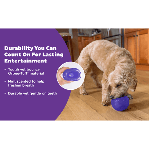 Orbee Lil Snoop Interactive Feeding Dog Toy Purple