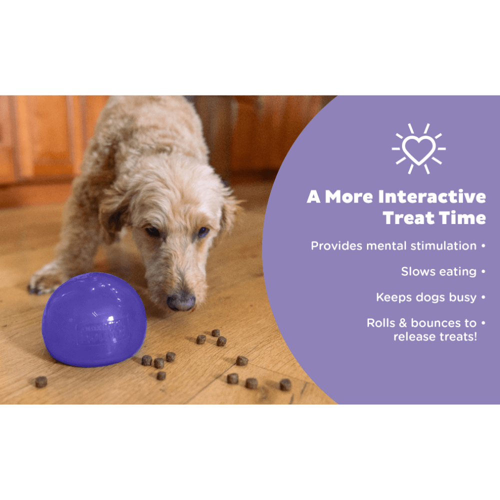 Orbee Lil Snoop Interactive Feeding Dog Toy Purple