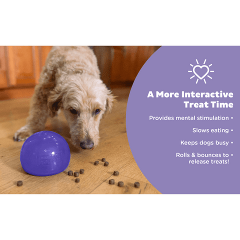 Orbee Lil Snoop Interactive Feeding Dog Toy Purple