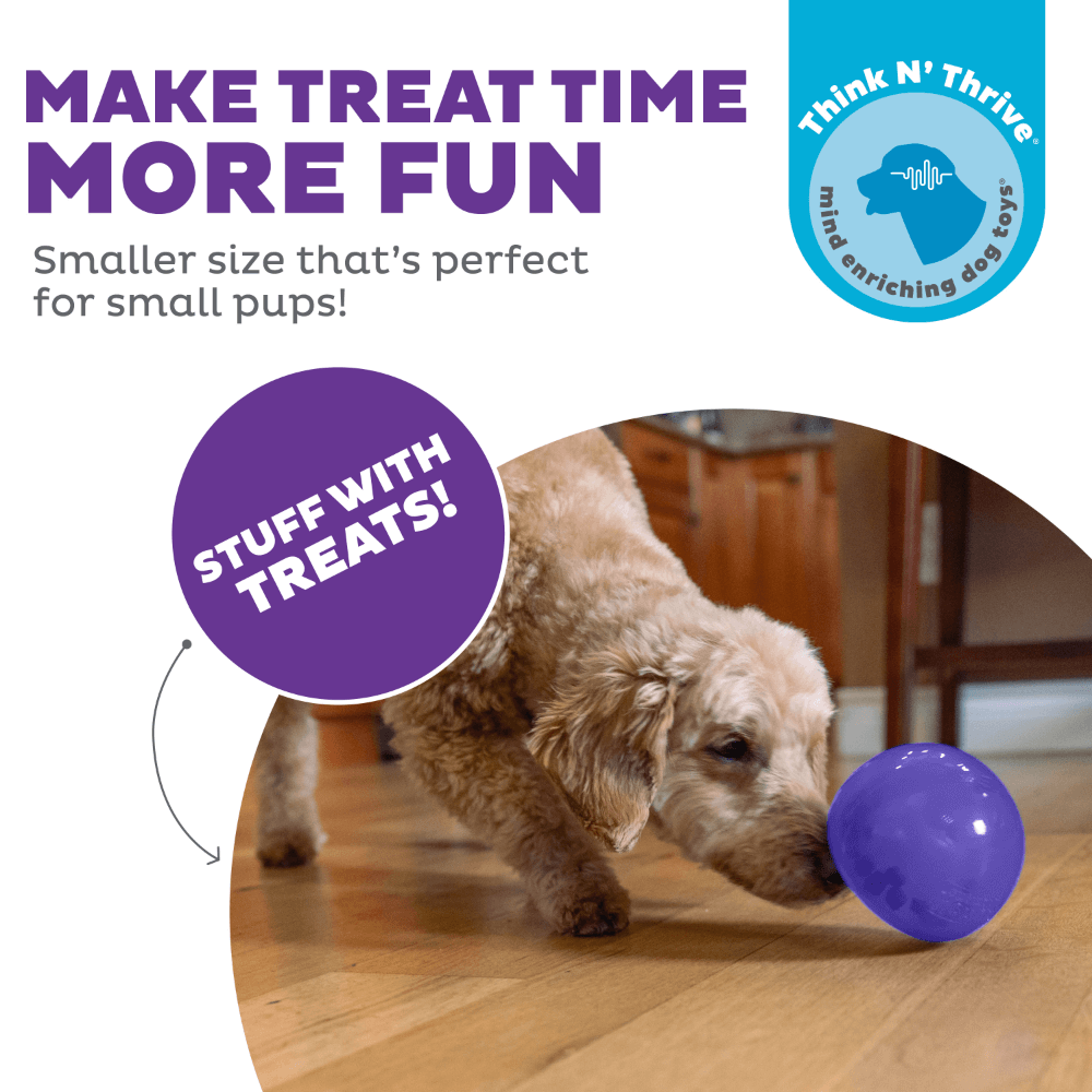 Orbee Lil Snoop Interactive Feeding Dog Toy Purple