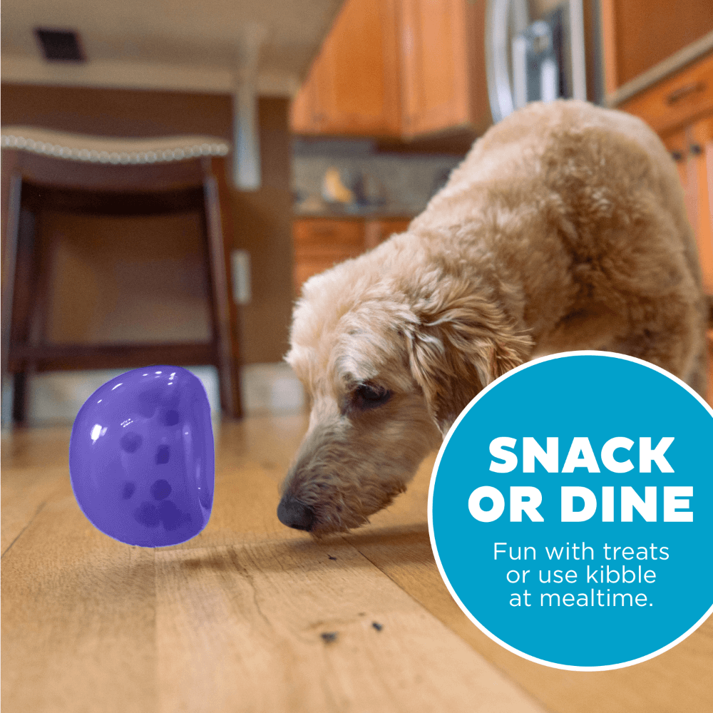 Orbee Lil Snoop Interactive Feeding Dog Toy Purple