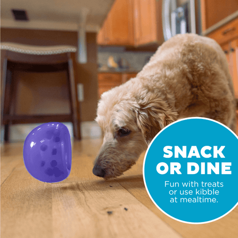 Orbee Lil Snoop Interactive Feeding Dog Toy Purple